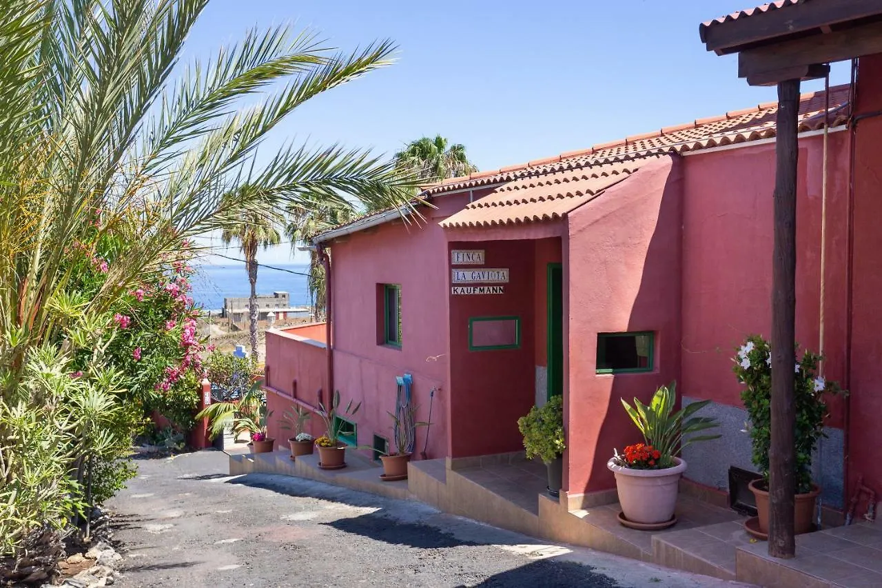 Finca La Gaviota - El Marmol Icod De Los Vinos
